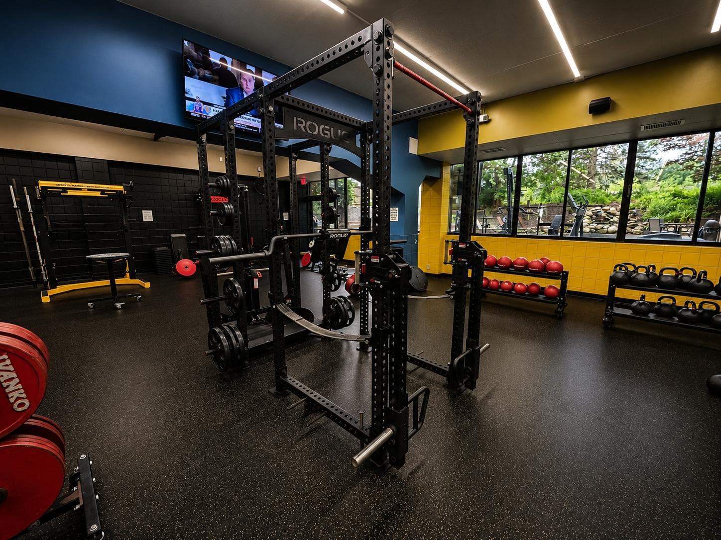 Belt squat machine for lower body training with reduced spinal load at Cleveland Fitness Club