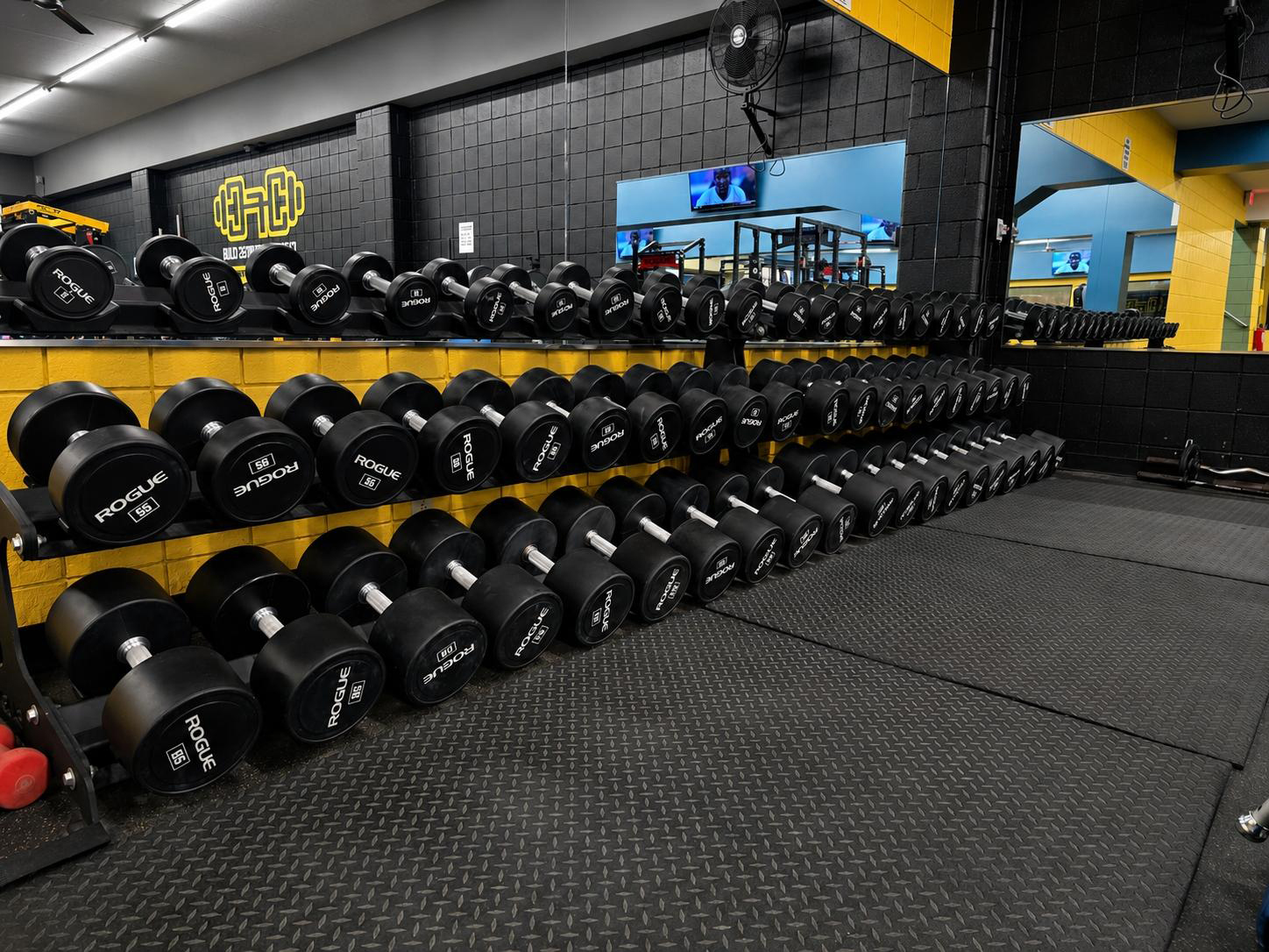 Brand new fully stocked dumbbell rack with rubber-coated dumbbells ranging from light to heavy at Cleveland Fitness Club